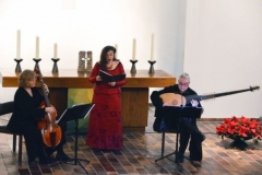 Stiftskirche Elmshorn